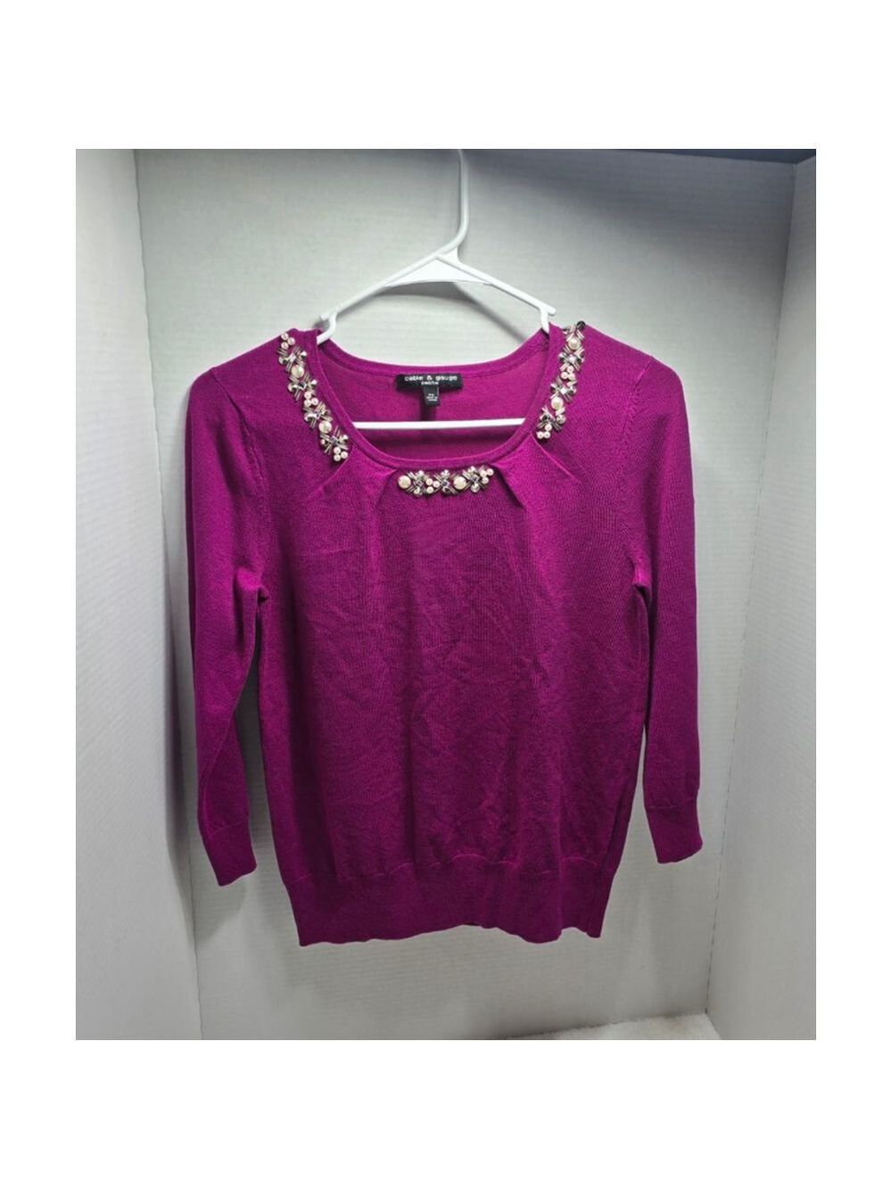 Women's Cable & Gauge Petite Magenta Embellished Crew Neck Sweater PS